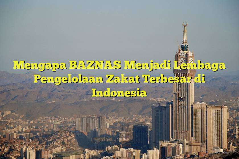 Mengapa BAZNAS Menjadi Lembaga Pengelolaan Zakat Terbesar di Indonesia